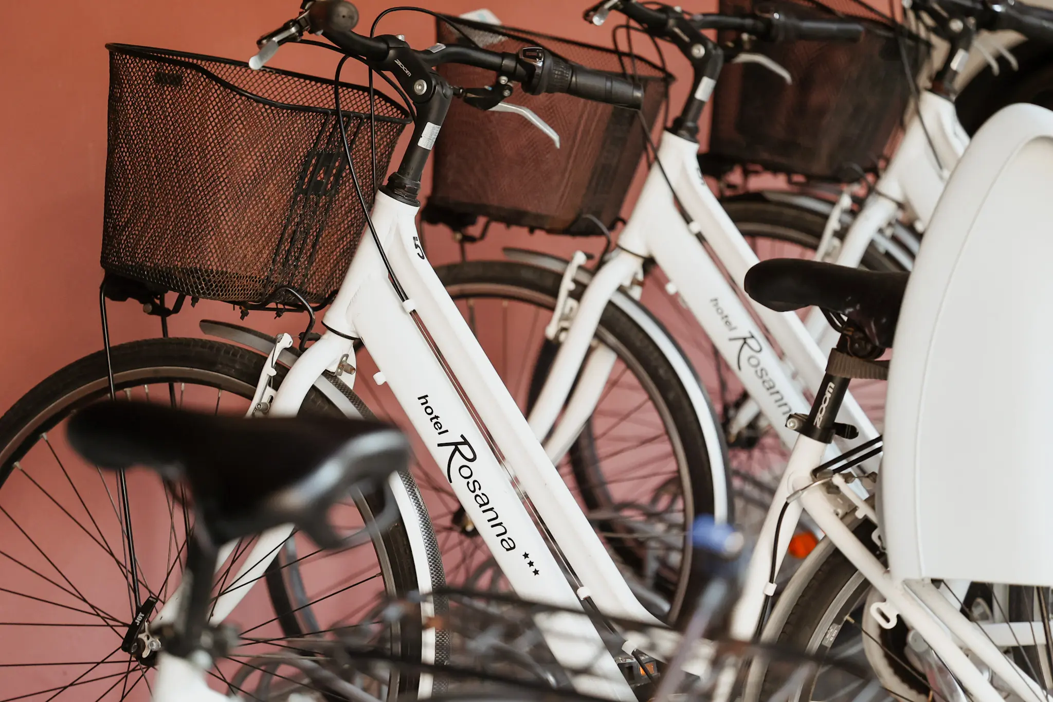 Biciclette a noleggio dell'Hotel Rosanna